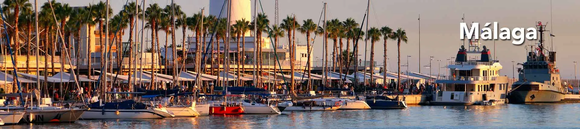Viaja a Málaga en autobús, puerto deportivo con palmeras